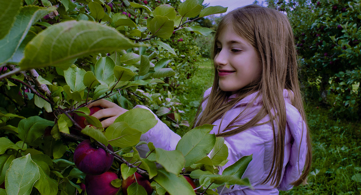 Young girl smiles as she picks red fruit from a bush